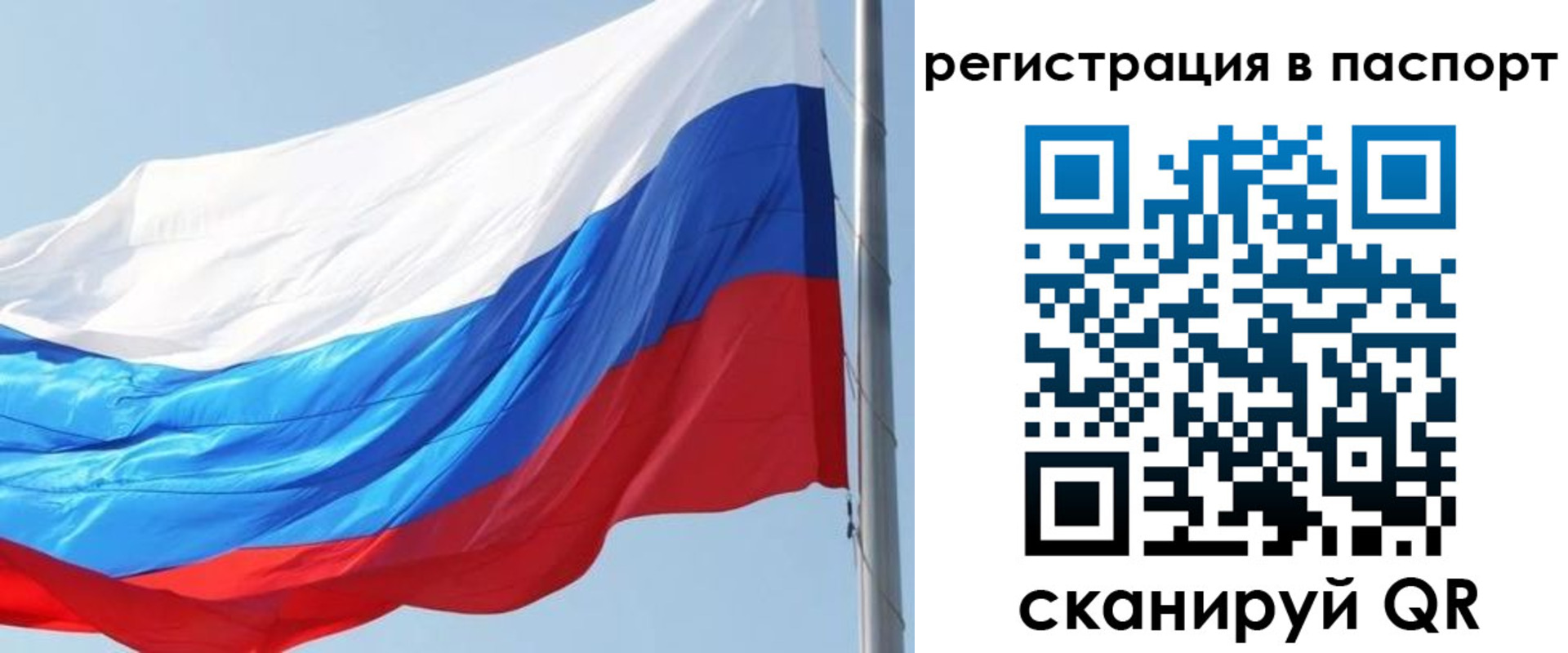 прописка законно в Волгореченске